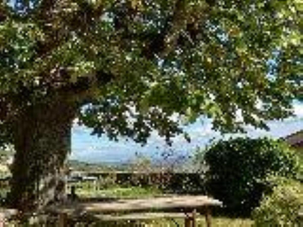 Chateau De Riverie Chambres Et Table D'Hotes Exterior foto